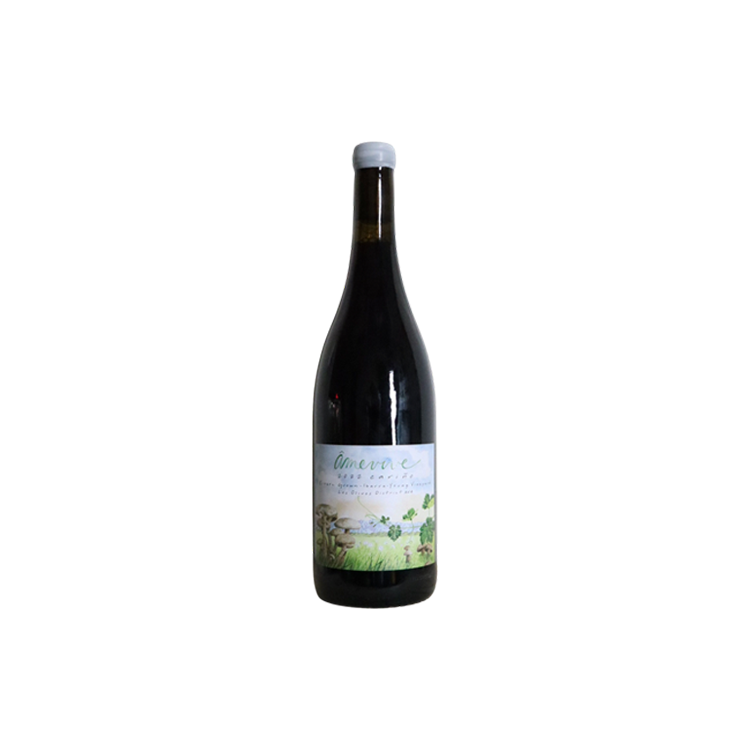 Amevive "Carino" - Red Blend