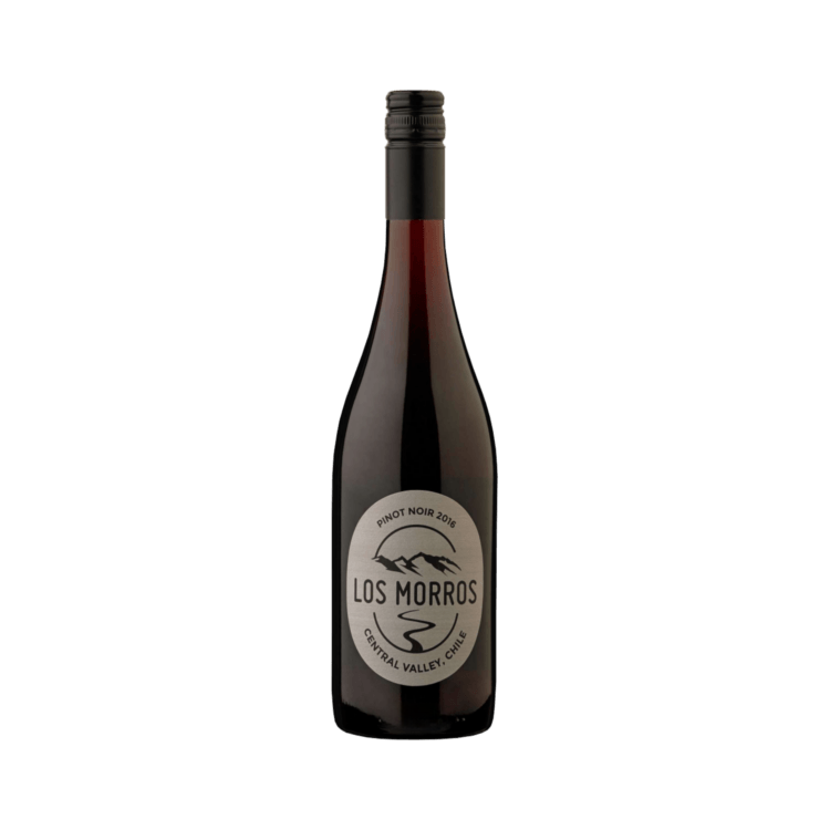 Besoain "Los Morros" - Pinot Noir