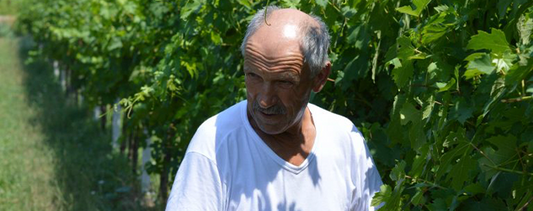 Amilcare Alberici - Winemaker