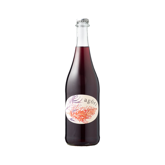 Travis Tausend Agori - Shiraz